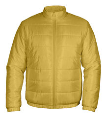 Stepēta jaka vīriešiem Pantoneclo NYLN-015, dzeltena цена и информация | Мужские куртки | 220.lv