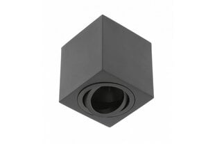 Griestu lampa AVEIRO BIS, kvadrāts, melns cena un informācija | Griestu lampas | 220.lv