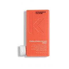 Šampūns krāsotiem matiem Kevin Murphy Everlasting Colour Wash, 250 ml цена и информация | Шампуни | 220.lv