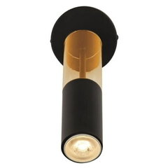 Searchlight sienas lampa Siena цена и информация | Настенные светильники | 220.lv