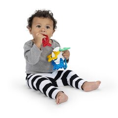 Graužamā rotaļlieta Baby Einstein Baby Bites Ocean Explorers Sea of Sensory™ 3 mēn+, 1 gab. cena un informācija | Rotaļlietas zīdaiņiem | 220.lv