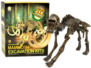 Arheoloģiskais komplekts Mamuta skelets cena un informācija | Attīstošās rotaļlietas | 220.lv