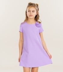 Детское платье 242123 02, лиловый 242123*02-158 цена и информация | Платья для девочек | 220.lv