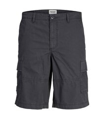 Jack & Jones bērnu šorti 12254171*01, pelēki 5715514849469 цена и информация | Шорты для мальчиков | 220.lv