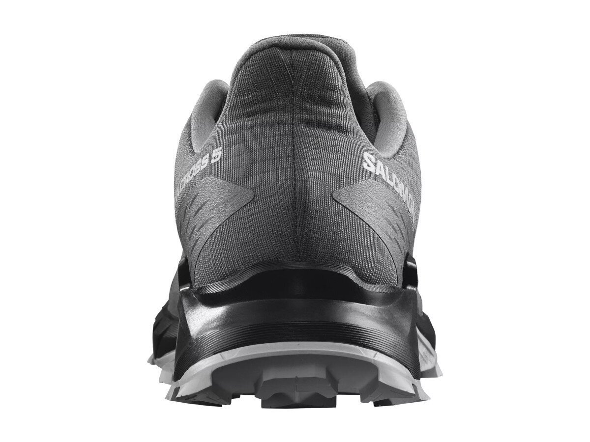 Sporta apavi vīriešiem Salomon Alphacross 5 L47313300, pelēki cena un informācija | Sporta apavi vīriešiem | 220.lv