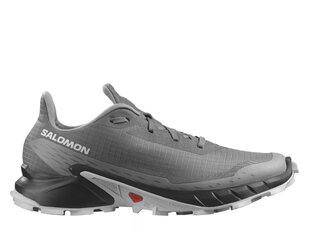 Sporta apavi vīriešiem Salomon Alphacross 5 L47313300, pelēki цена и информация | Кроссовки для мужчин | 220.lv