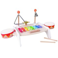 Mūzikas instrumentu kolekcija Classic World, 9 gab. цена и информация | Развивающие игрушки | 220.lv