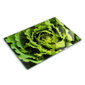 Decormat griešanas dēlītis Ēdot salātu lapas, 80x52 cm цена и информация | Griešanas dēlīši | 220.lv
