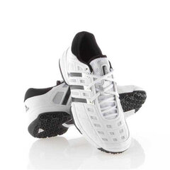 Sporta apavi vīriešiem Adidas Feather IV 666976 1382-F, balti cena un informācija | Sporta apavi vīriešiem | 220.lv