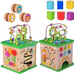 Izglītojošs kubs ar labirintu Tooky Toy cena un informācija | Rotaļlietas zīdaiņiem | 220.lv