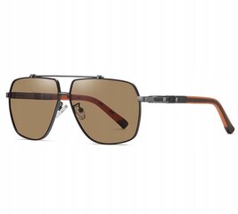 Saulesbrilles vīriešiem Stylion 25118A цена и информация | Солнцезащитные очки для мужчин | 220.lv