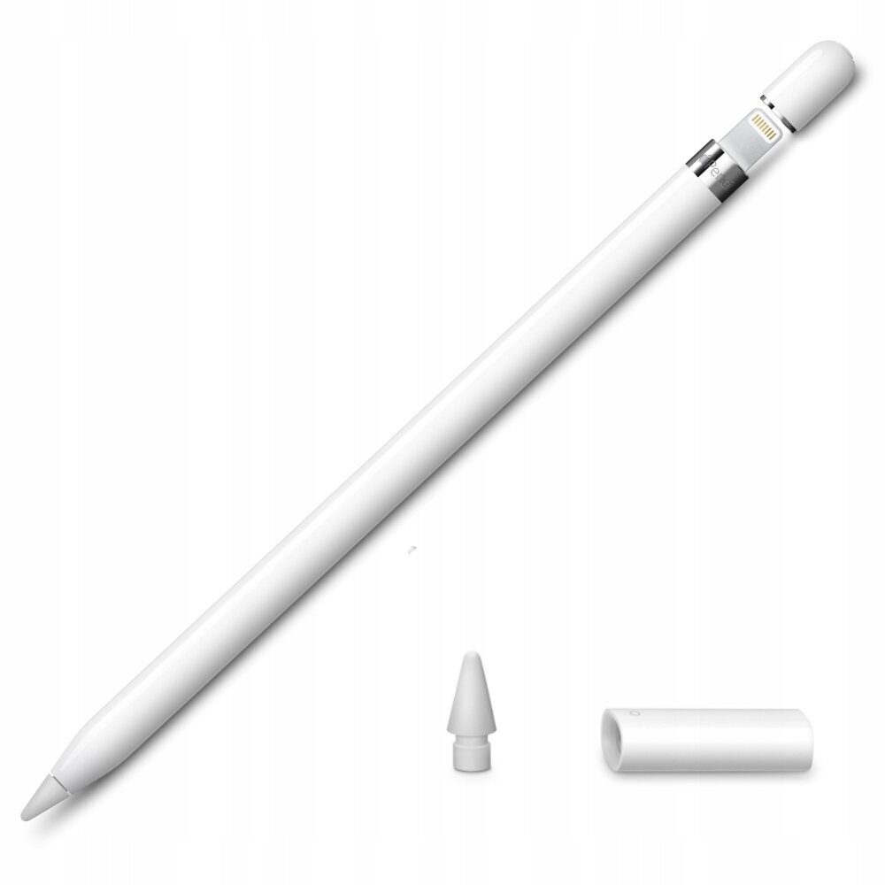 Apple Pencil 1st Gen cena un informācija | Citi aksesuāri planšetēm un e-grāmatām | 220.lv