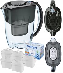Aquaphor Amethyst Maxfor+ цена и информация | Фильтры для воды | 220.lv