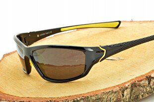 Солнцезащитные очки FISHING POLARISATION цена и информация | Солнцезащитные очки для мужчин | 220.lv