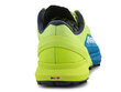Sporta apavi vīriešiem Dynafit Ultra 64068, zaļi cena un informācija | Sporta apavi vīriešiem | 220.lv
