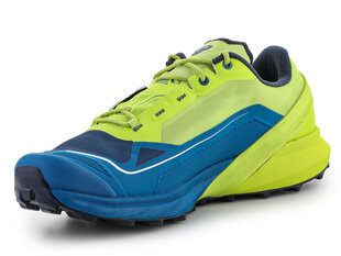 Sporta apavi vīriešiem Dynafit Ultra 64068, zaļi цена и информация | Кроссовки мужские | 220.lv