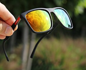 Солнцезащитные очки MENSIONAL POLARISATIVE SUNGLASSES FISHES от ESTILLO + GRANTS цена и информация | Солнцезащитные очки для мужчин | 220.lv