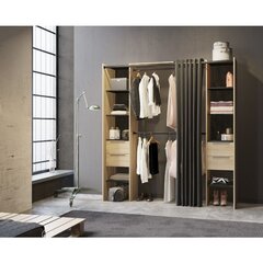 Шкаф Aatrium Dana, 190x50x203 см, коричневый/черный цена и информация | Шкафы | 220.lv