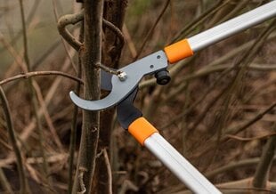 Ножницы ручные для травы/кустарника Brad KT-V1250 100 см цена и информация | Кусторезы, ножницы для газона | 220.lv