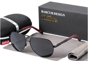 Polarizētas saulesbrilles vīriešiem Barcur cena un informācija | Saulesbrilles  vīriešiem | 220.lv