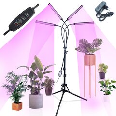 Ouio Tripod AL2 цена и информация | Проращиватели, лампы для растений | 220.lv