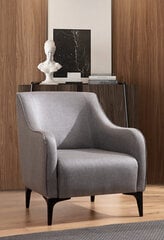 Krēsls Belissimo, pelēks цена и информация | Кресла в гостиную | 220.lv