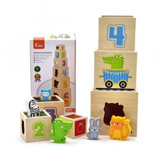 Koka puzles komplekts, piramīda, Viga cena un informācija | Viga Toys Rotaļlietas, bērnu preces | 220.lv