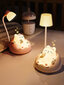 Nakts lampa, 3 funkcijas, USB-C cena un informācija | Lampas bērnu istabai | 220.lv