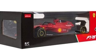 Automašīna ar tālvadības pulti Raster Ferrari F1, sarkans цена и информация | Игрушки для мальчиков | 220.lv