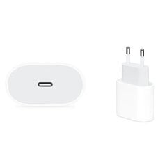 Зарядное устройство USB-C Quickcharge 25W PD, прозрачный корпус, защитное стекло экрана Samsung Galaxy A54 5G Starter Pack цена и информация | Зарядные устройства для телефонов | 220.lv