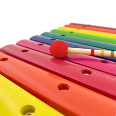Музыкальный инструмент для детей - Красочный ксилофон (12 нот), Svoora SV250002 цена и информация | Развивающие игрушки | 220.lv