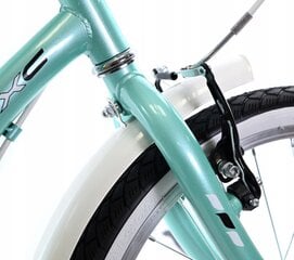 Детский велосипед Midex 20', зеленый цена и информация | Велосипеды | 220.lv