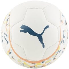 Puma Мячи Neymar Jr White Colored 084233 01 084233 01/1 цена и информация | Футбольные мячи | 220.lv