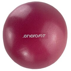 Vingrošanas bumba EneroFit, 25 cm, rozā цена и информация | Гимнастические мячи | 220.lv