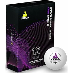 шарики для настольного тенниса, 12шт белые цена и информация | Мячи для настольного тенниса | 220.lv