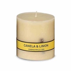 Astūrija 8 cm svece. Kanēlis un citrons cena un informācija | Sveces un svečturi | 220.lv