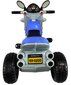 Stumjamā mašīna Fluxar S50, zila цена и информация | Rotaļlietas zīdaiņiem | 220.lv