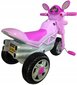 Stumjamā mašīna Fluxar, rozā cena un informācija | Rotaļlietas zīdaiņiem | 220.lv