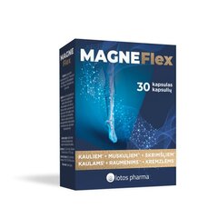 Uztura bagātinātājs MagneFlex, 30kapsulas cena un informācija | Vitamīni, preparāti, uztura bagātinātāji labsajūtai | 220.lv