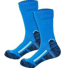 Водонепроницаемые носки, 37-39, синие цена и информация | Женские носки | 220.lv