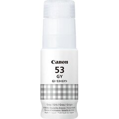 Canon GI-53GY Ink Bottle Grey цена и информация | Картриджи для струйных принтеров | 220.lv
