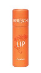Lūpu balzams Berrichi, 10 g cena un informācija | Lūpu krāsas, balzāmi, spīdumi, vazelīns | 220.lv