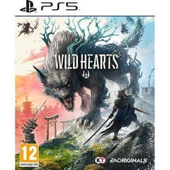 Wild Hearts, PlayStation 5 - Game (Pre-order) цена и информация | Компьютерные игры | 220.lv