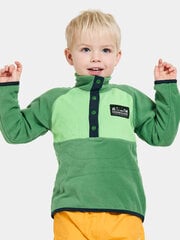 Детский шерстяной свитер Didriksons MONTE HALF BUTTON 3, зелено цена и информация | Свитеры, жилетки, пиджаки для мальчиков | 220.lv