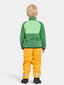 Didriksons bērnu vilnas džemperis MONTE HALF BUTTON 3, zaļš cena un informācija | Zēnu jakas, džemperi, žaketes, vestes | 220.lv