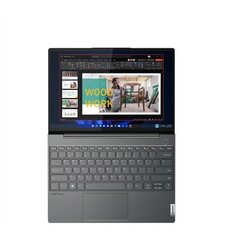 Lenovo ThinkBook 13x G2 IAP (21AT003MMH) цена и информация | Ноутбуки | 220.lv