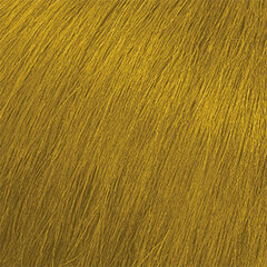 Matrix Color Sync Vynils matu krāsa 90 ml-Gilded Gold cena un informācija | Matu krāsas | 220.lv