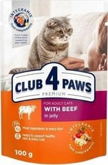 CLUB 4 PAWS PREMIUM Влажный корм для кошек - говядина в желе 24 x 100 г цена и информация | Консервы для котов | 220.lv