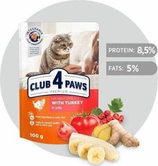 Club 4 Paws Premium kaķiem ar tītaru želejā, 24 x 100 g cena un informācija | Konservi kaķiem | 220.lv