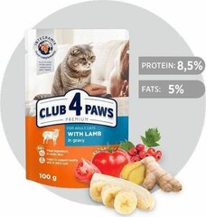 Club 4 Paws Premium kaķiem ar jēra gaļu mērcē, 24 x 100g cena un informācija | Konservi kaķiem | 220.lv